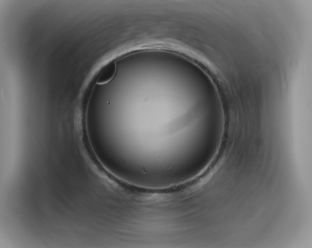 X0000114571506200910191453