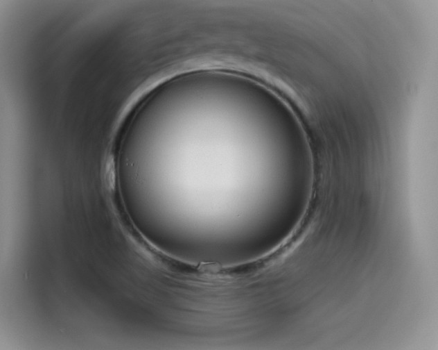 X0000114571509200910191453