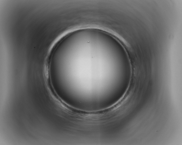 X0000114571510200910191453