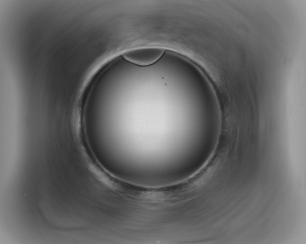 X0000114571511200910191453