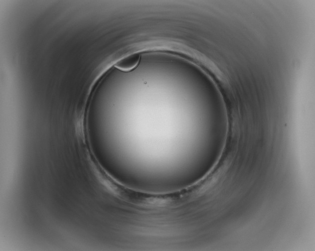 X0000114571513200910191453
