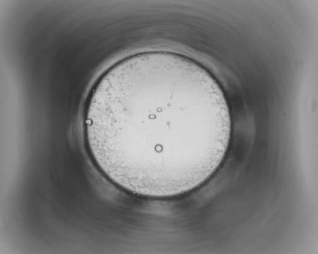 X0000114571514200910191453