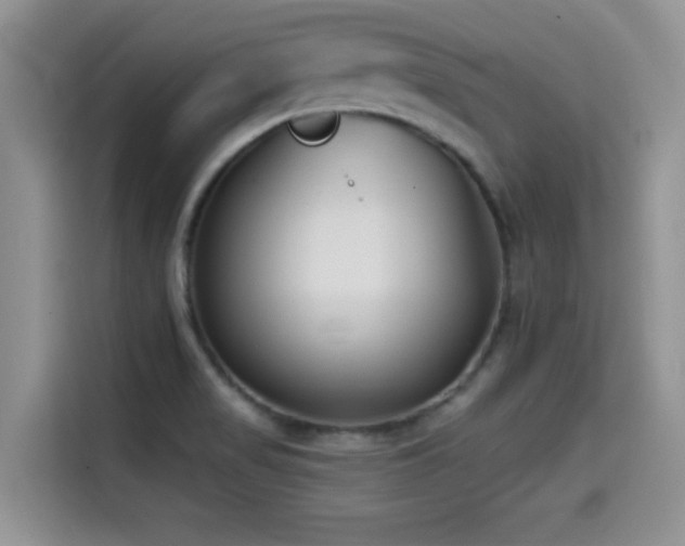 X0000114571517200910191453