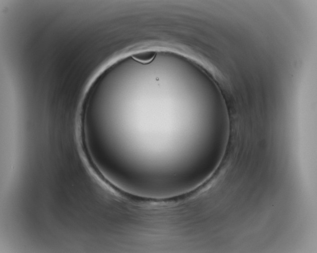 X0000114571518200910191453