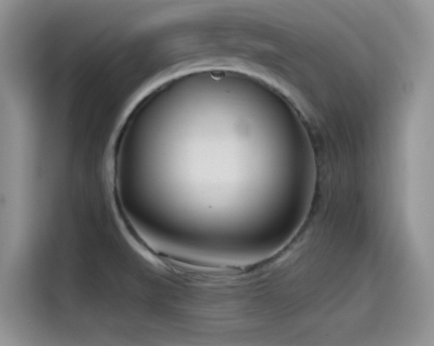 X0000114571519200910191453