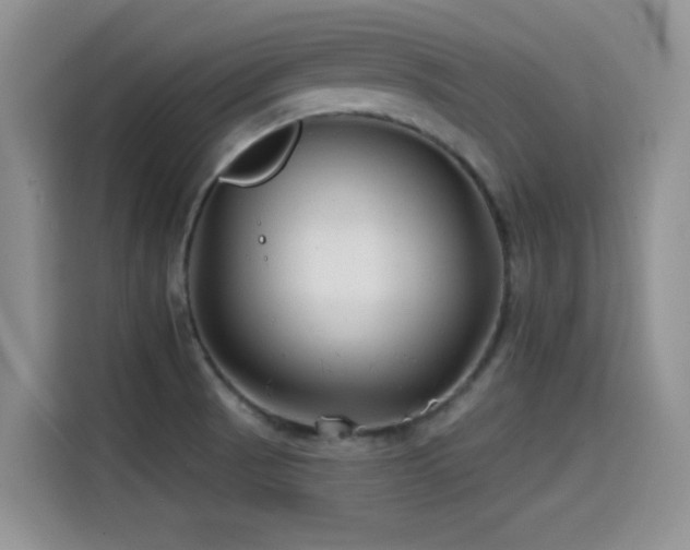 X0000114571521200910191453
