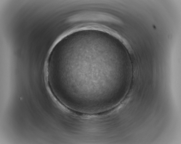 X0000114571522200910191453
