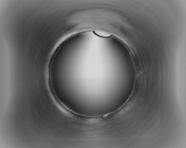 X0000114571523200910191453