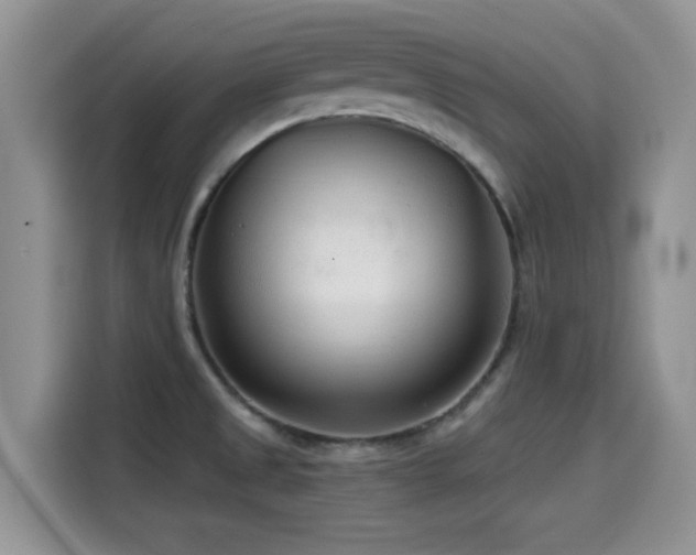 X0000114571525200910191453