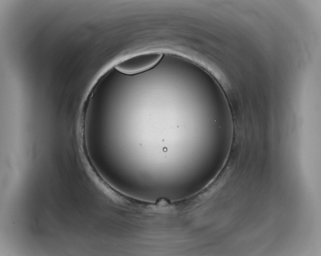 X0000114571526200910191453