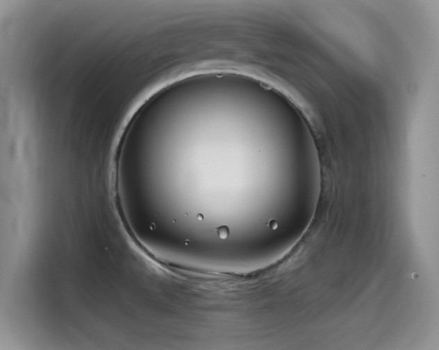 X0000114571527200910191453