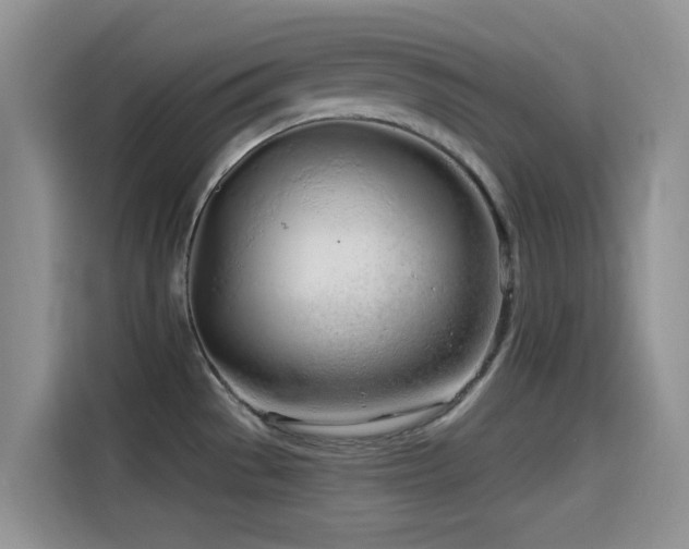 X0000114571529200910191453