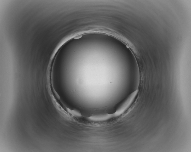 X0000114571530200910191453