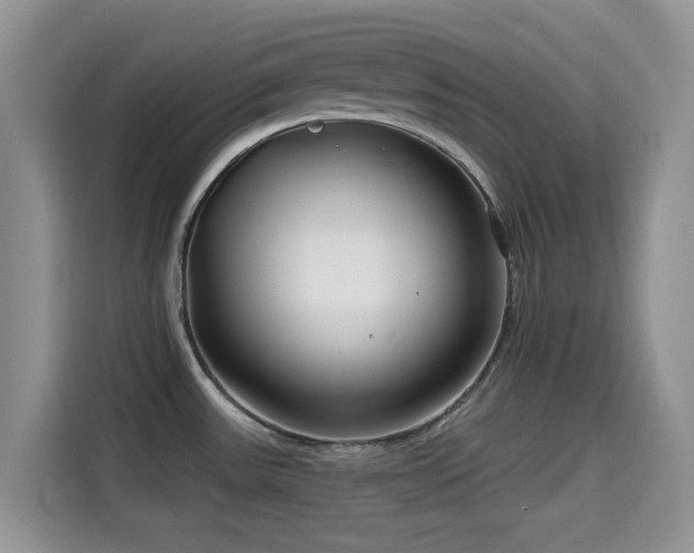 X0000114571531200910191453