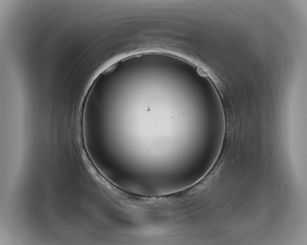 X0000114571534200910191453