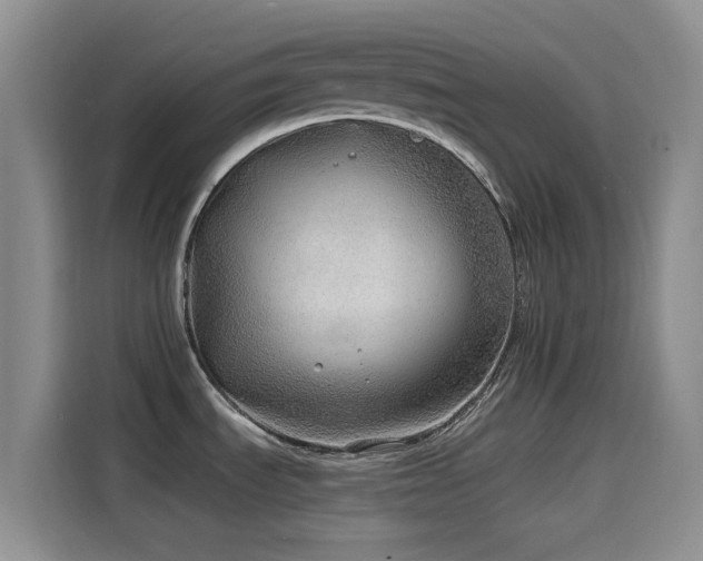 X0000114571535200910191453