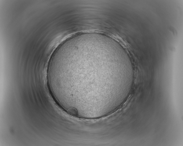 X0000114570002200911091225