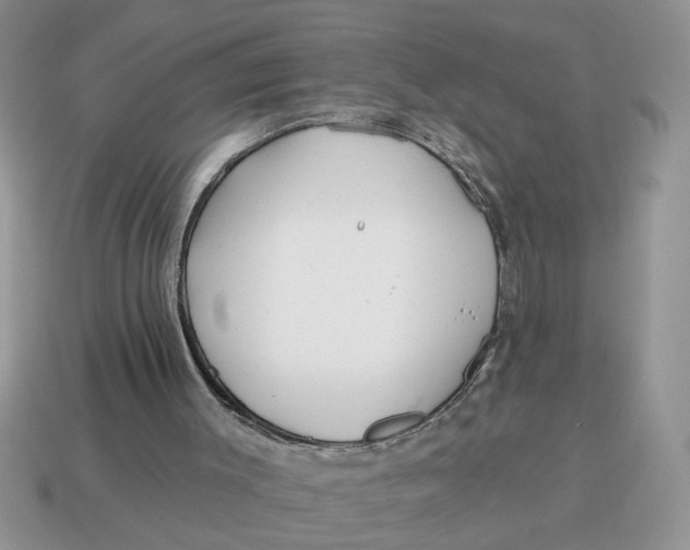 X0000114570003200911091225