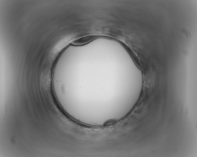 X0000114570005200911091225