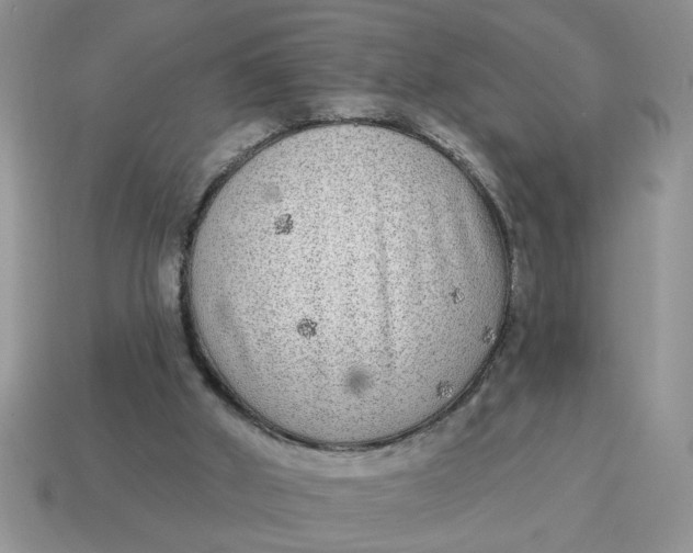 X0000114570010200911091225