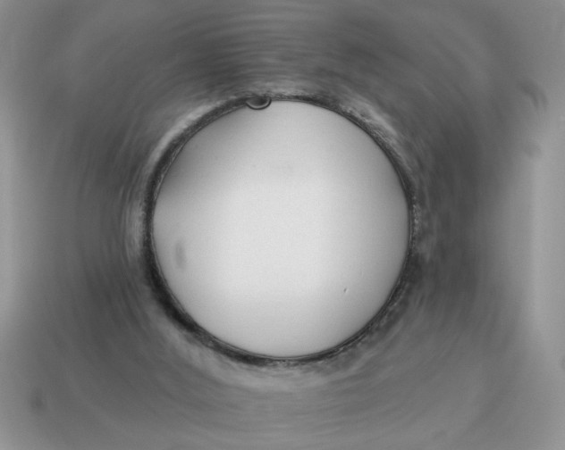 X0000114570012200911091225