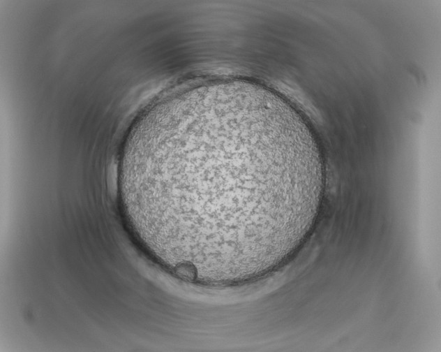 X0000114570014200911091225