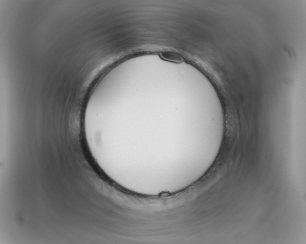 X0000114570015200911091225