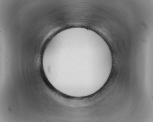 X0000114570016200911091225