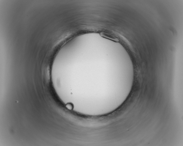 X0000114570020200911091225