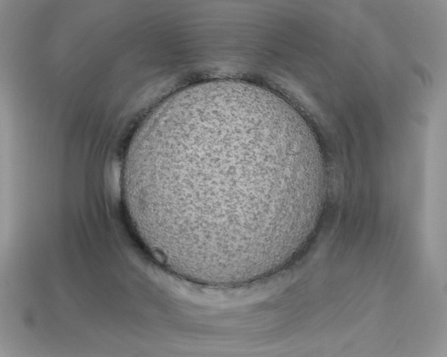 X0000114570022200911091225