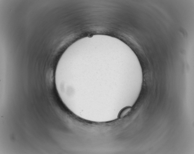 X0000114570024200911091225