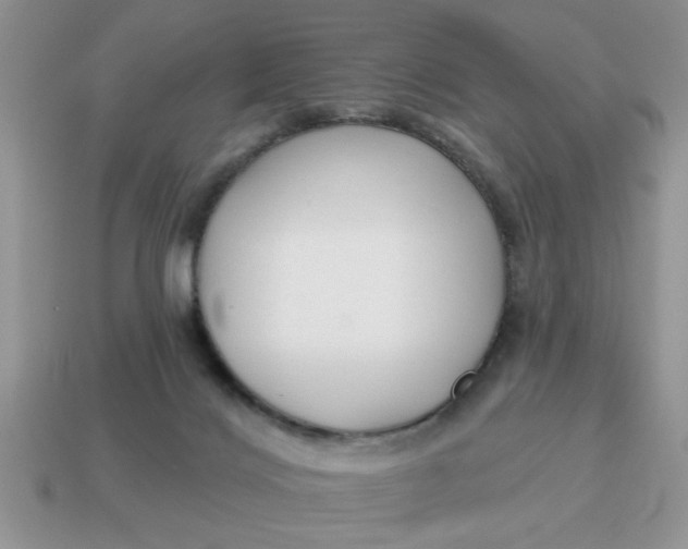 X0000114570028200911091225