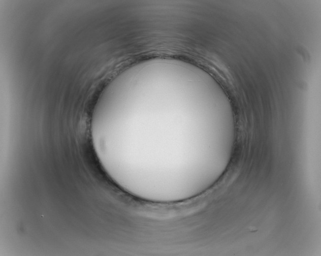 X0000114570029200911091225