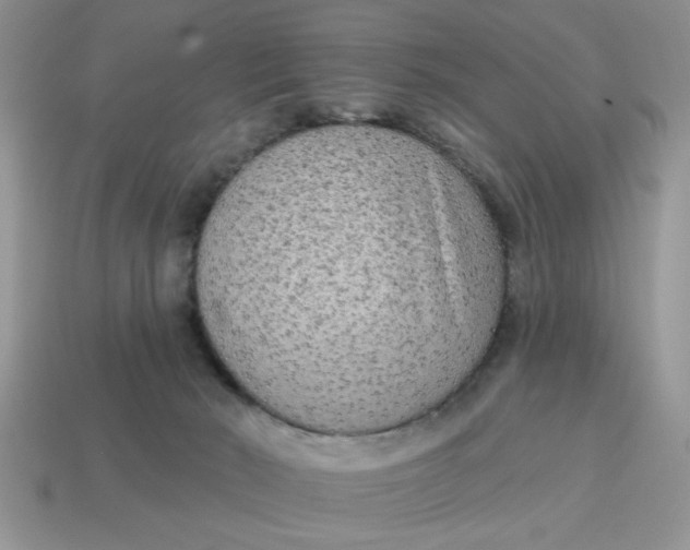 X0000114570030200911091225