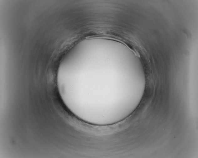 X0000114570031200911091225