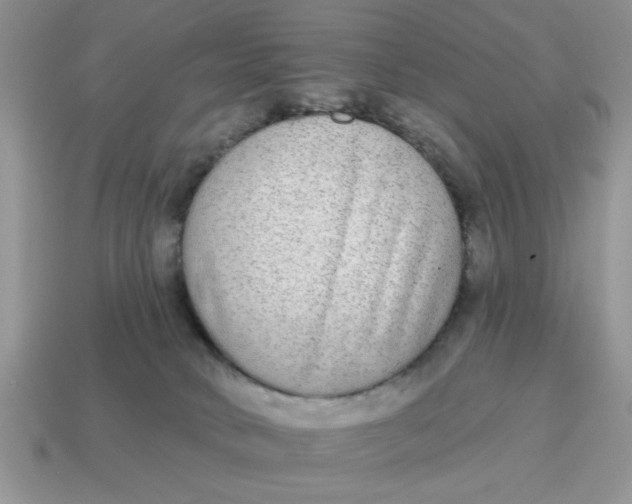 X0000114570034200911091225