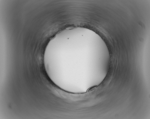 X0000114570039200911091224