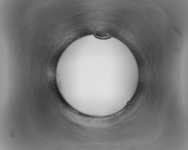 X0000114570040200911091224