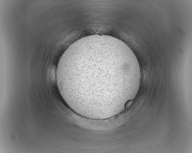 X0000114570042200911091224