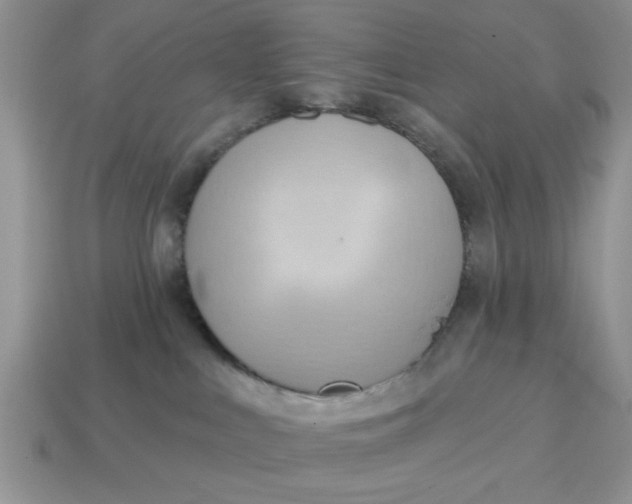 X0000114570043200911091224