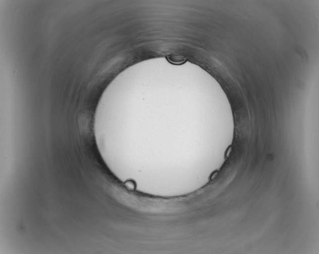 X0000114570044200911091224