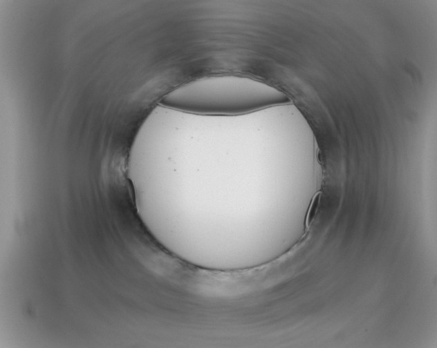 X0000114570045200911091224