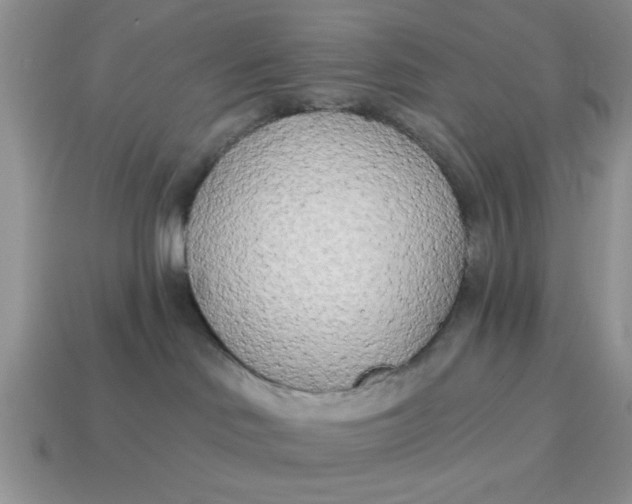 X0000114570046200911091224