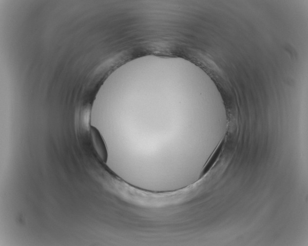 X0000114570047200911091224