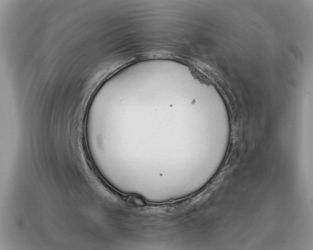 X0000114570049200911091224