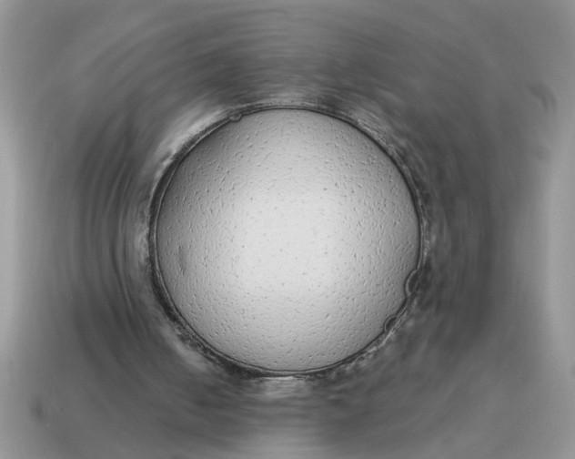 X0000114570050200911091224