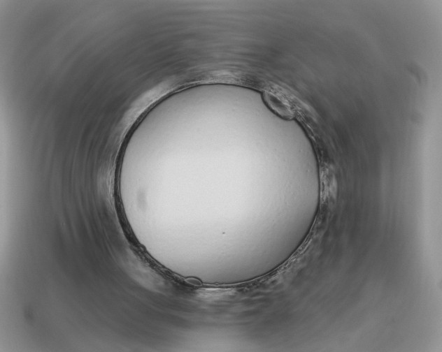 X0000114570051200911091224