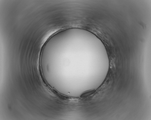 X0000114570052200911091224