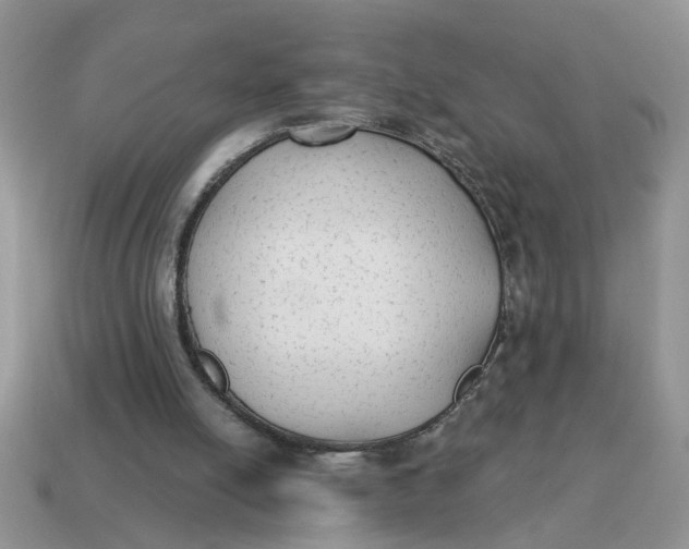 X0000114570054200911091224