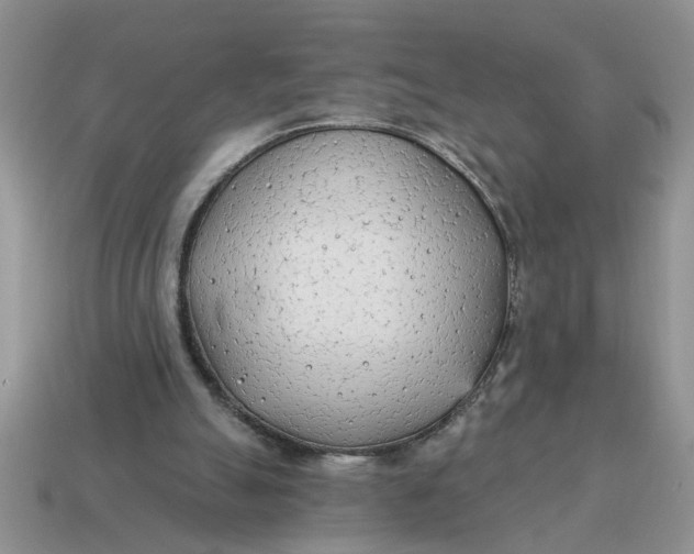 X0000114570055200911091224